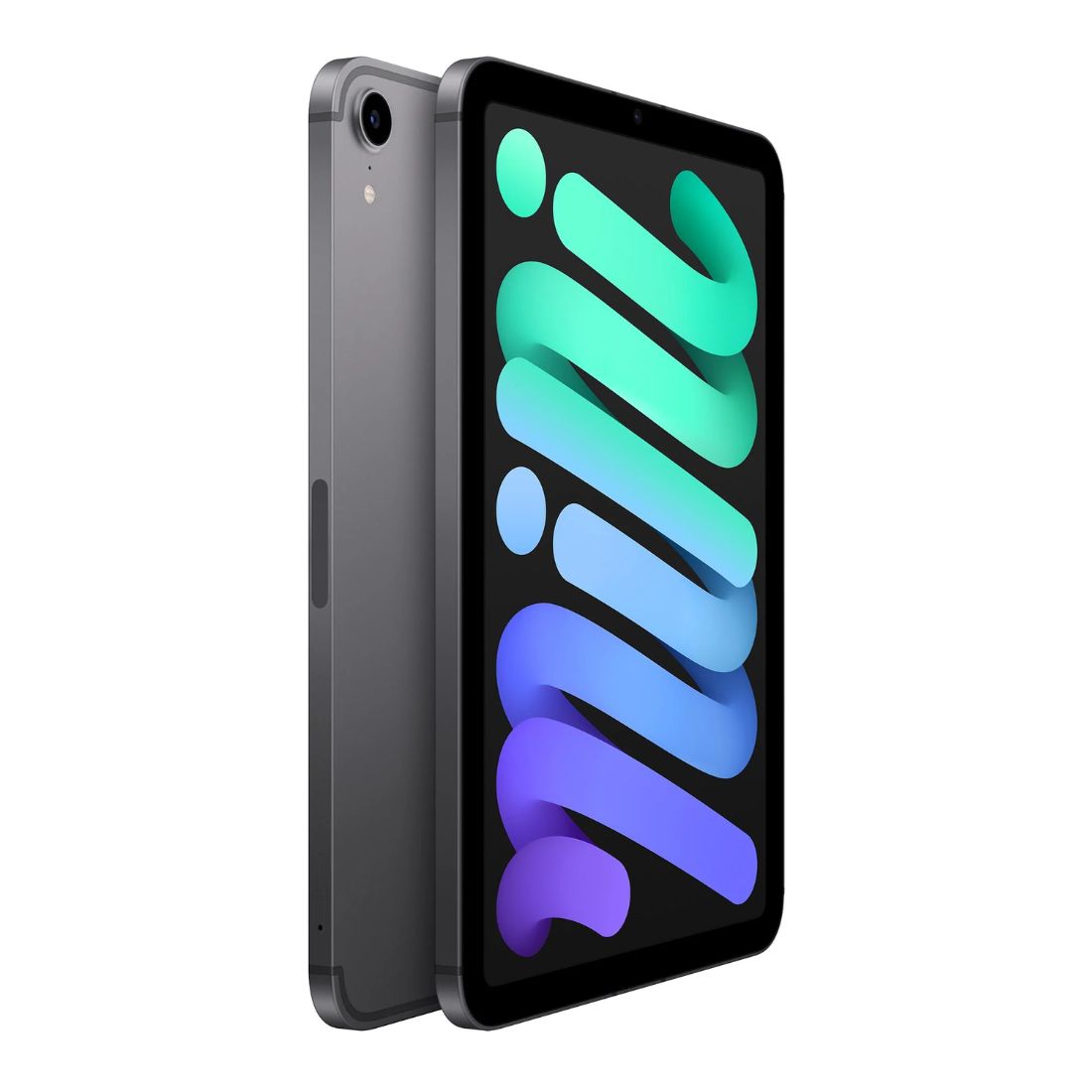 Apple iPad mini Wi-Fi + Cellular 256GB (6th Gen) - Space Grey