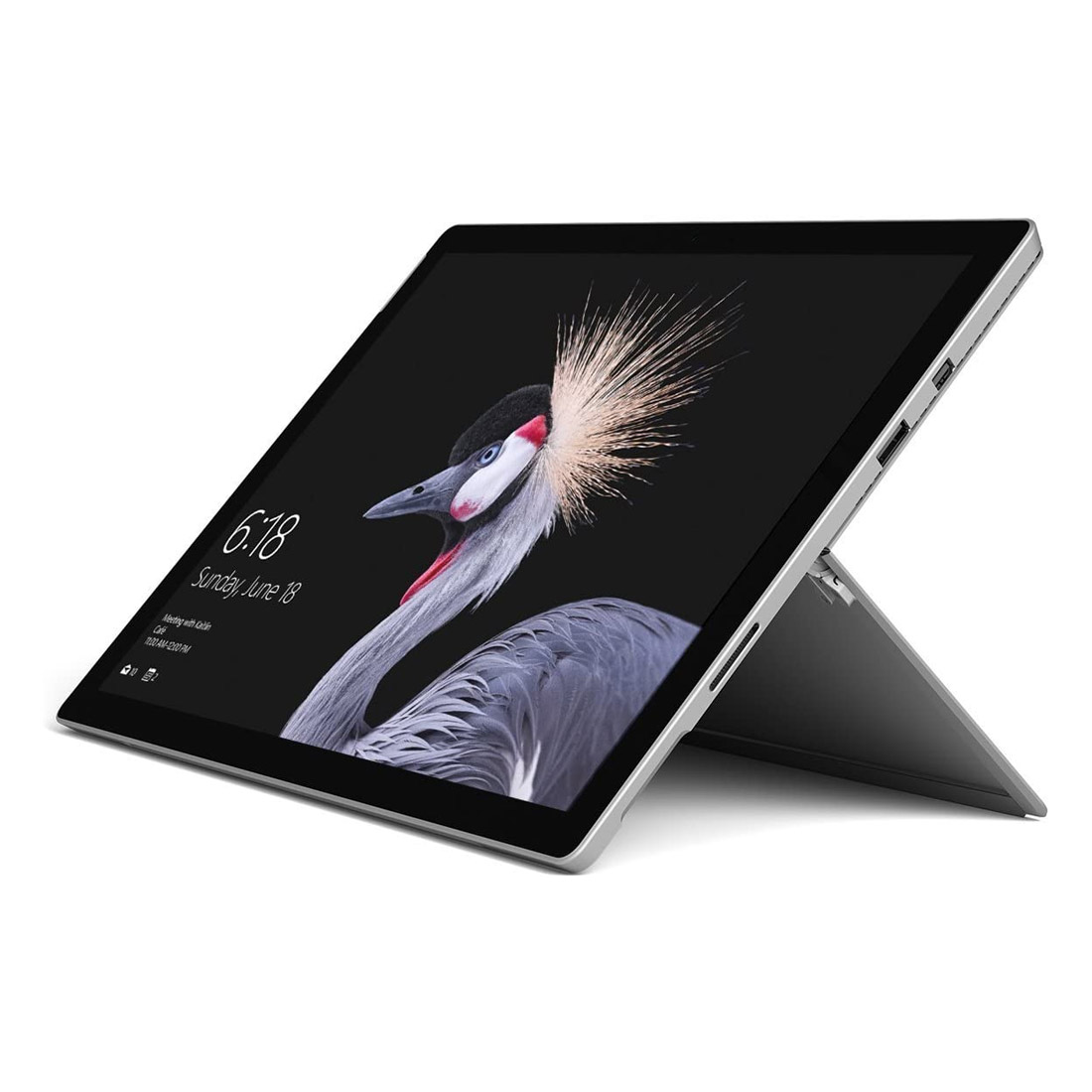 Microsoft Surface Pro (5th Gen) 12.3
