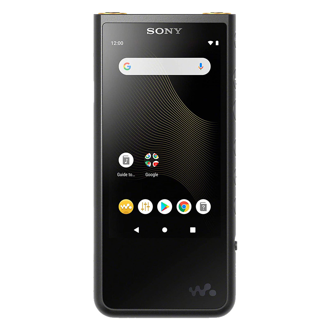 Sony Premium 64GB Walkman Hi-Res Digital Audio Player NWZX507B - Black